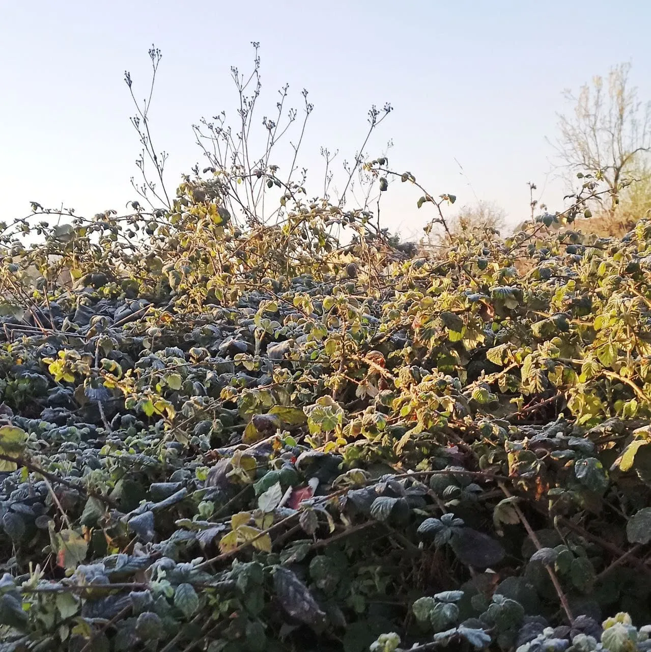 Everything was frozen / Todo estaba congelado