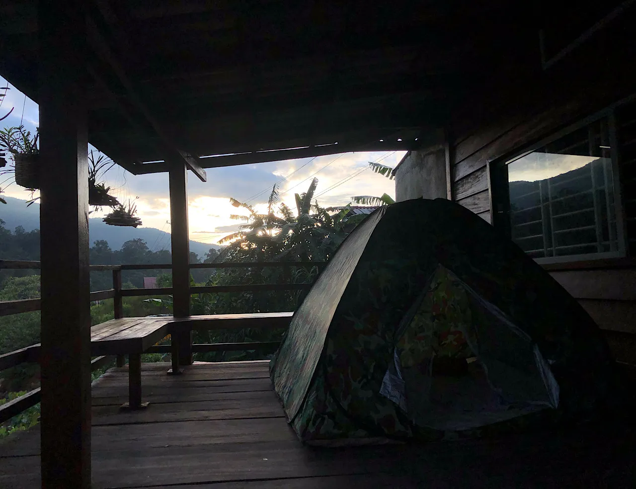 IMG_8587.jpeg