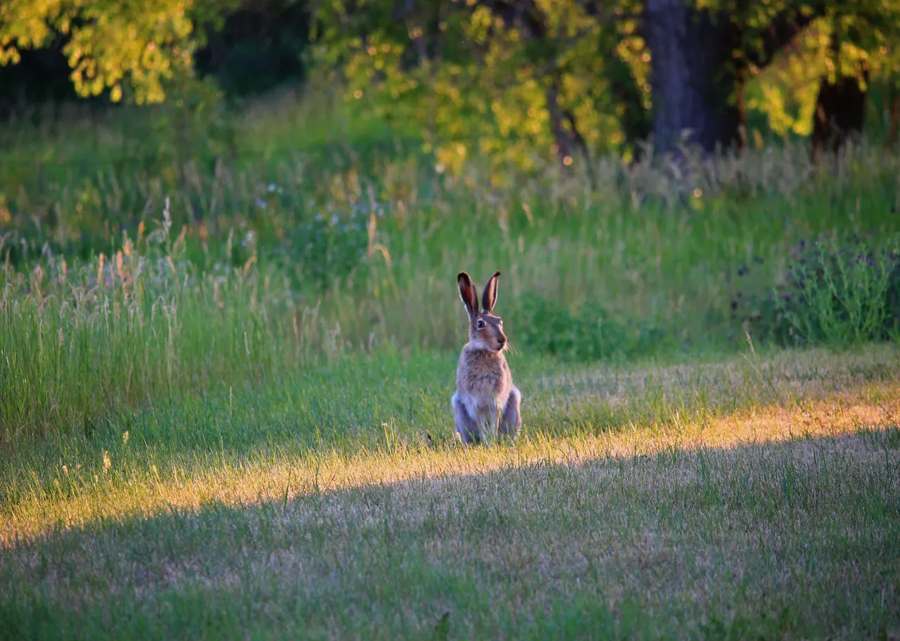 IMG_8825ps.jpg