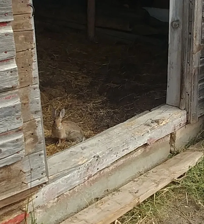 20170916_111559ps.jpg