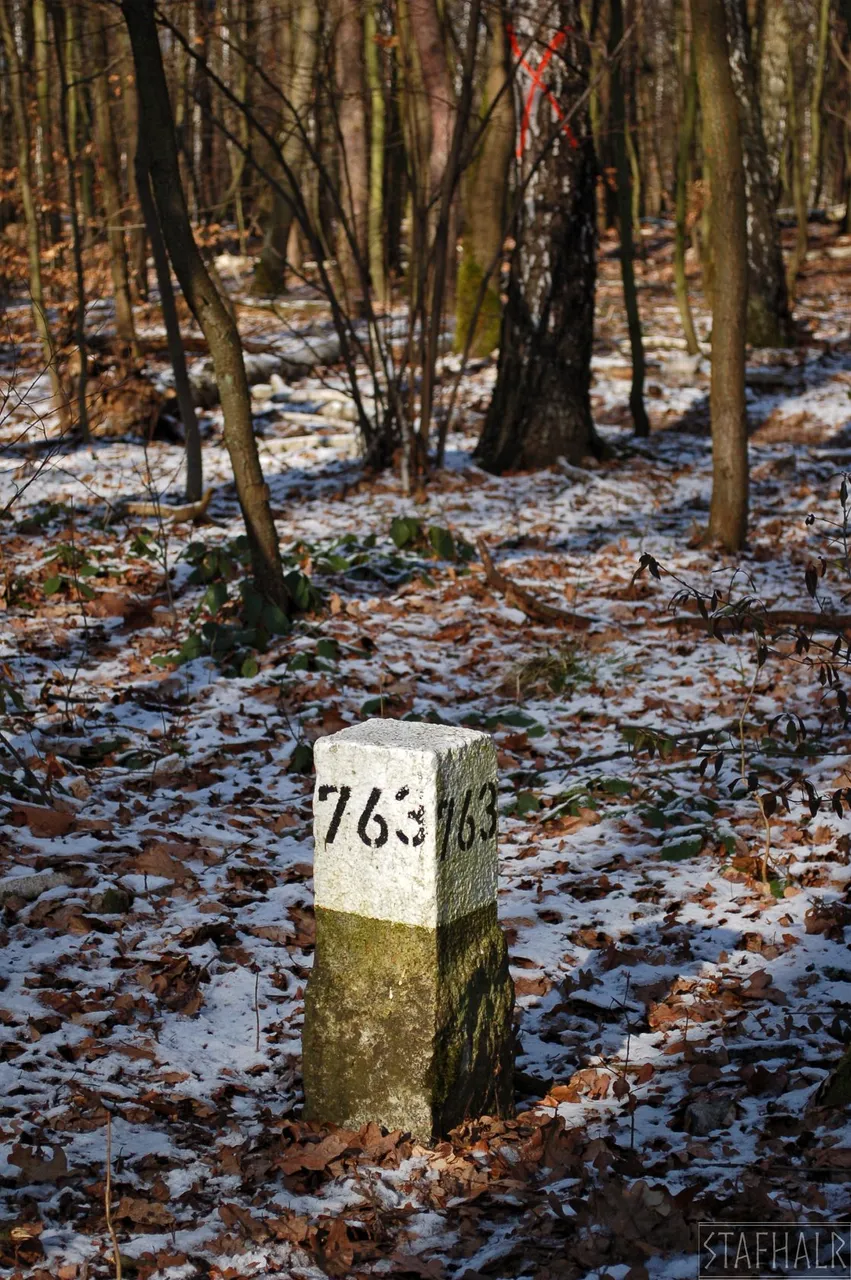 DSC_0287.jpg