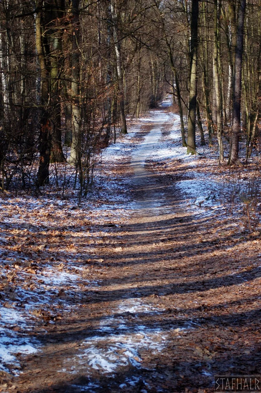 DSC_0296.jpg