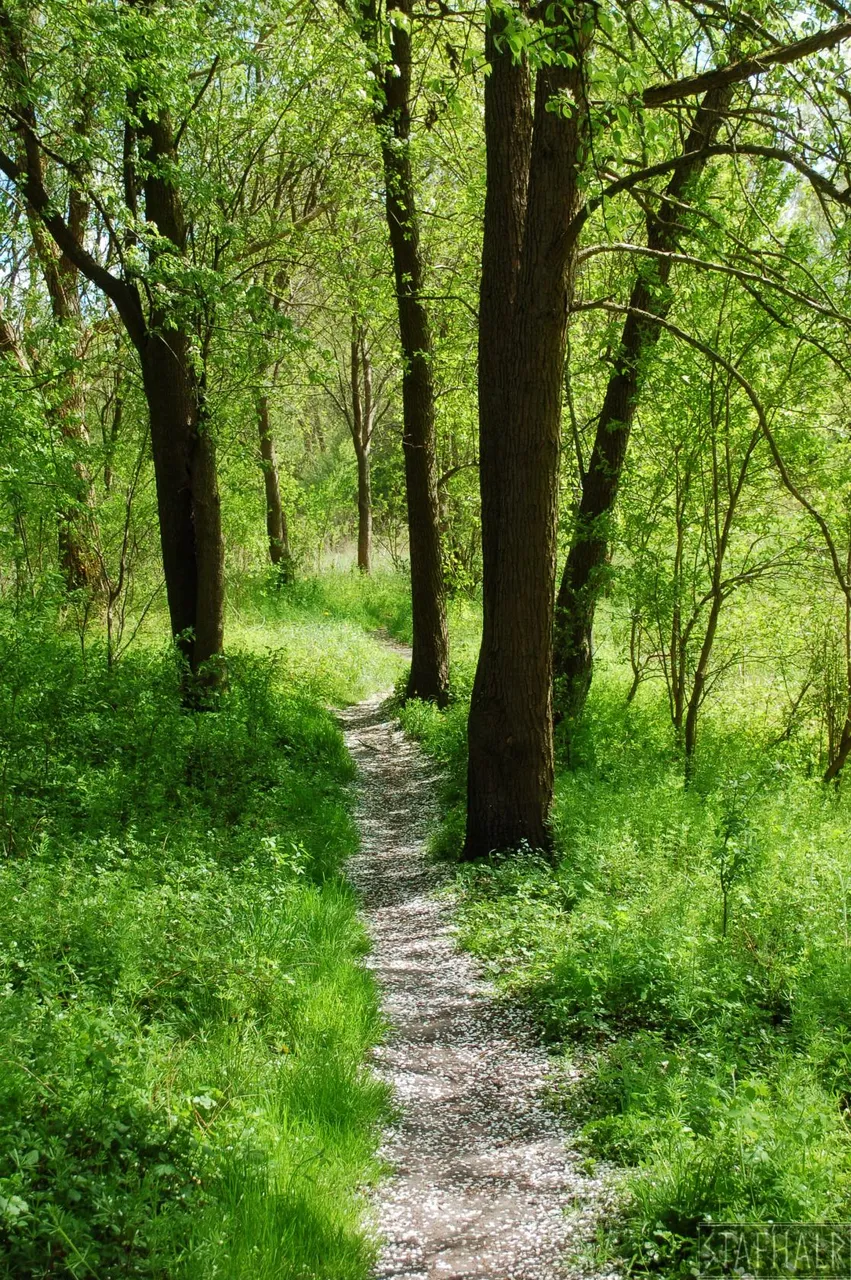 DSC_0499.jpg
