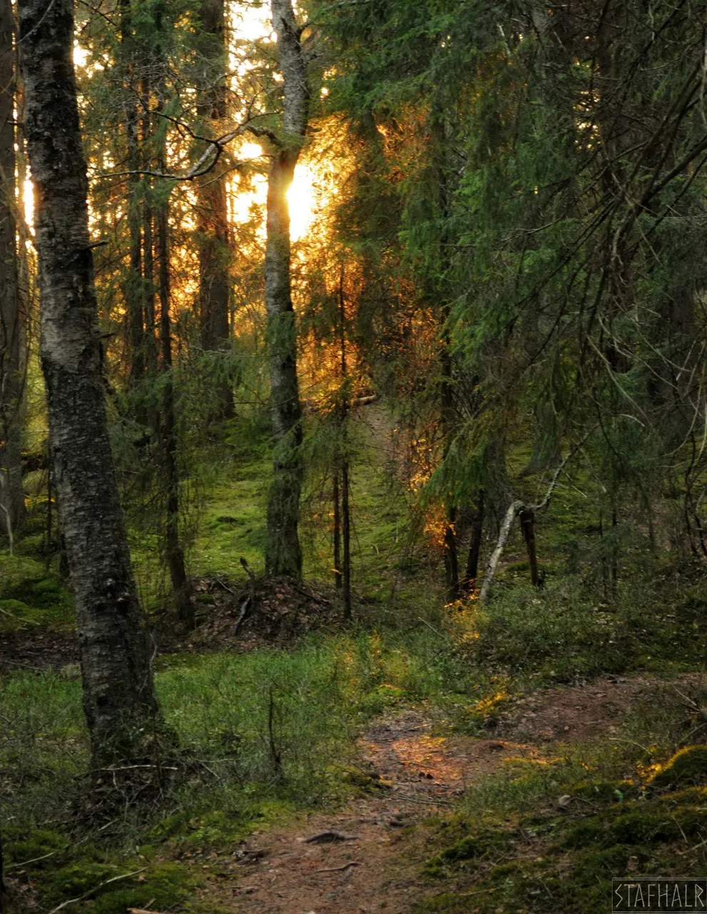 DSC_0084.jpg