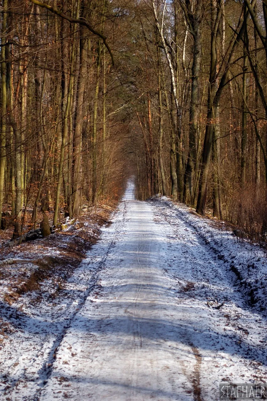 DSC_0262.jpg