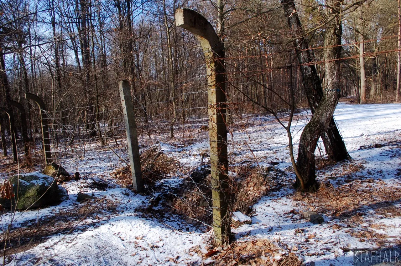 DSC_0308.jpg