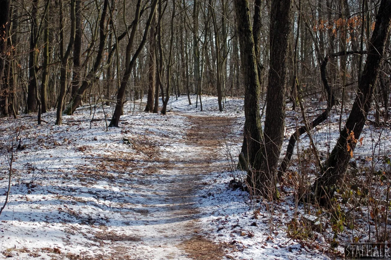 DSC_0273.jpg