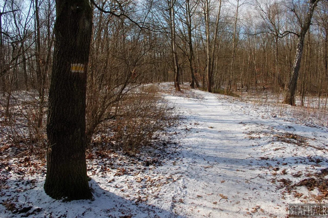 DSC_0276.jpg