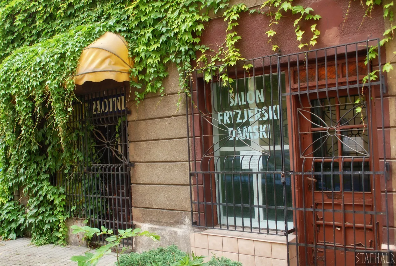 Bluszcz przykrył wspomnienie zakładu fryzjerskiego. | Ivy covered the memory of the barbershop.