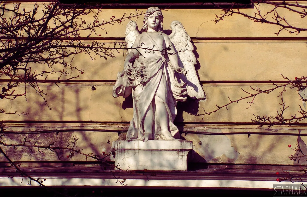 angel-rynek-tarn.jpg