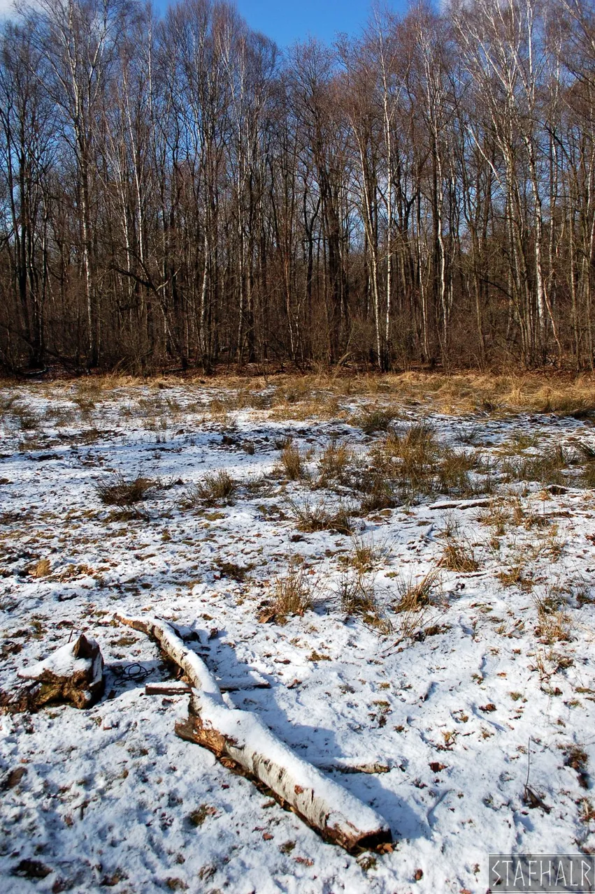 DSC_0282.jpg