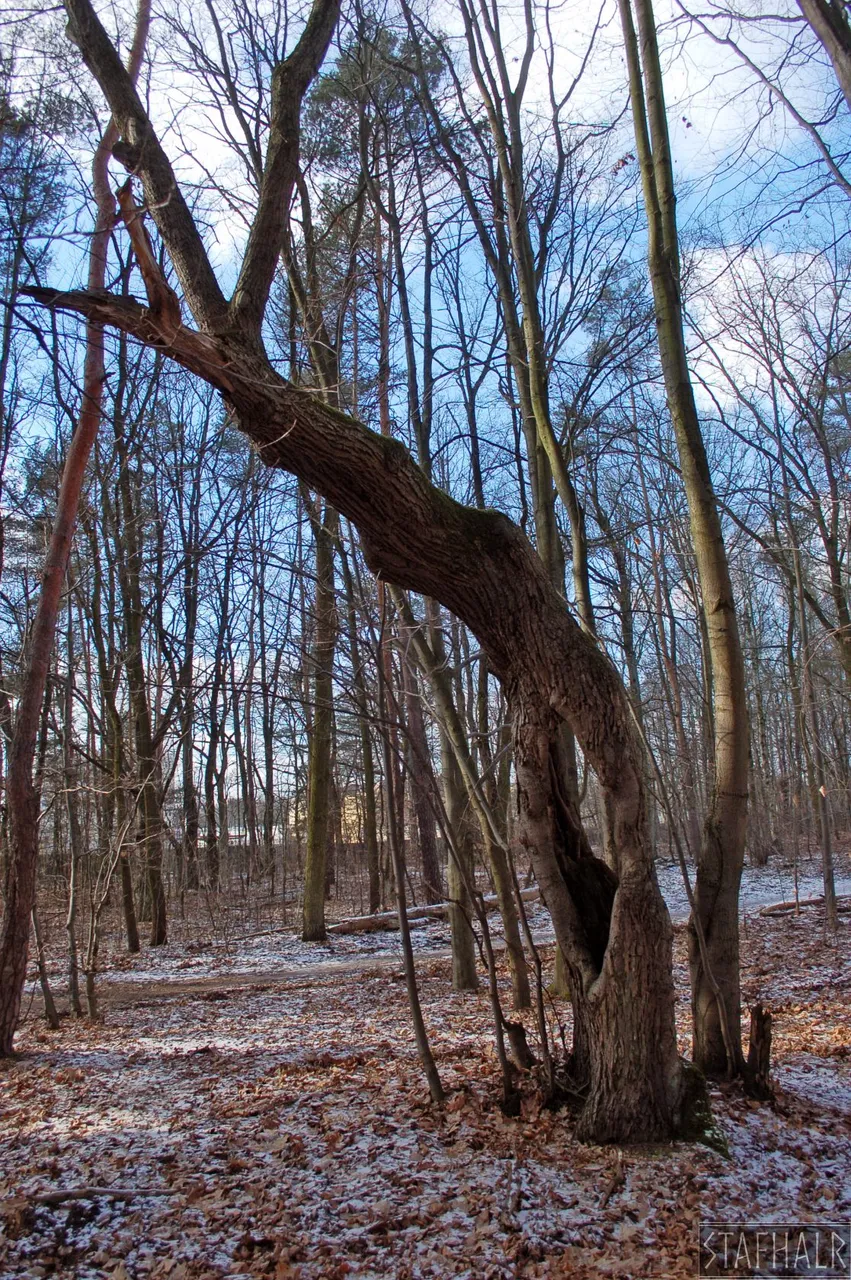 DSC_0241.jpg