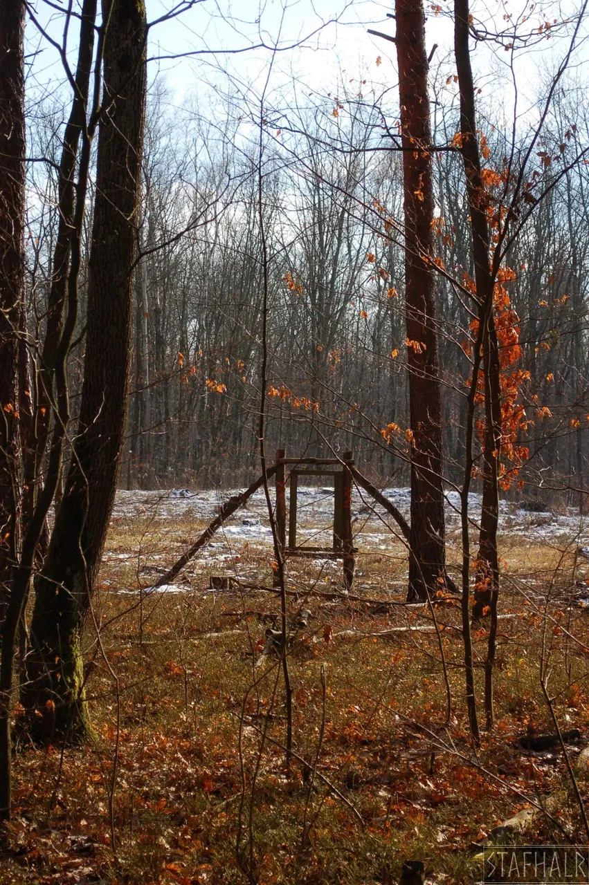 DSC_0254.jpg