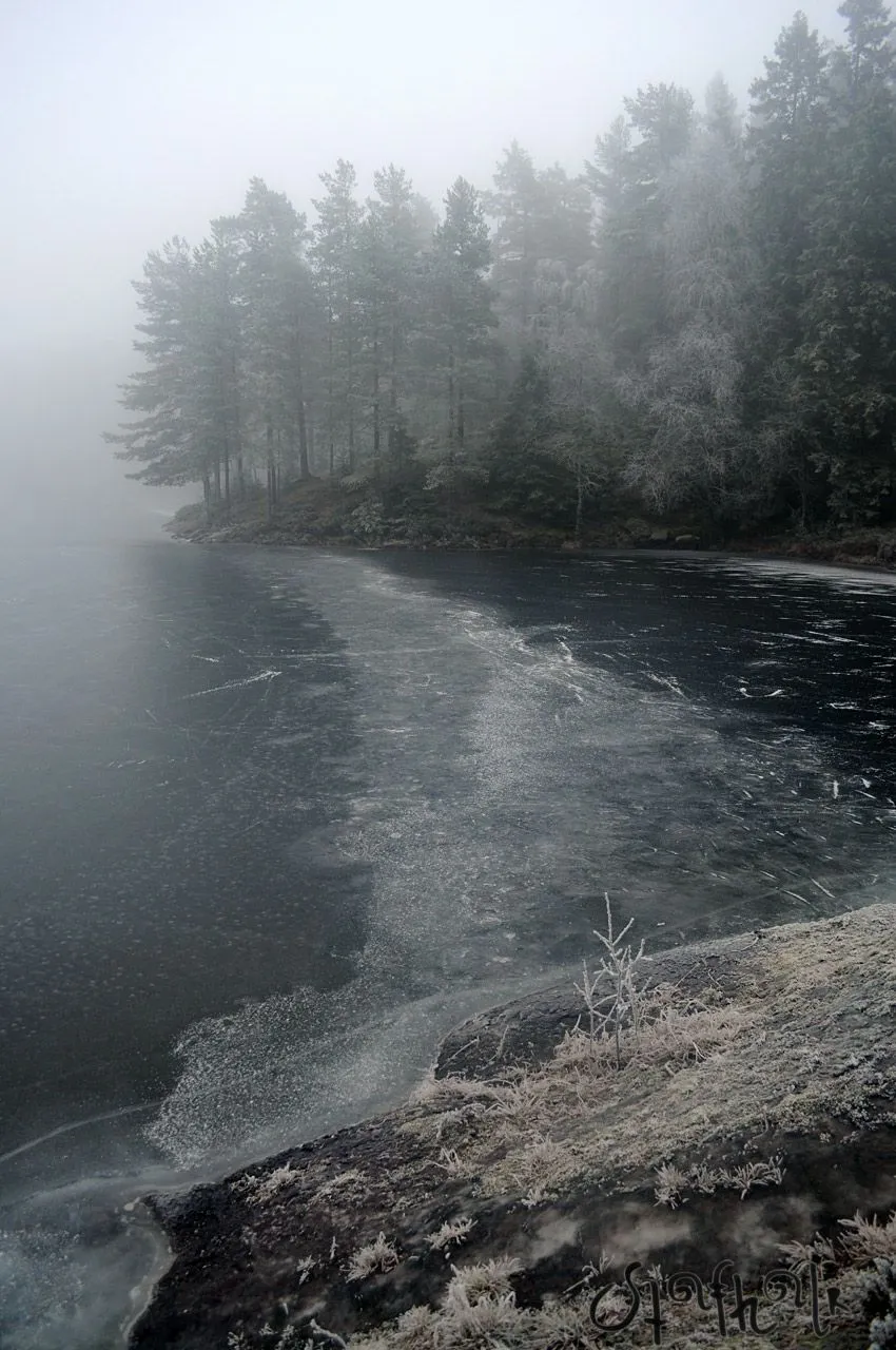 DSC_2941.jpg