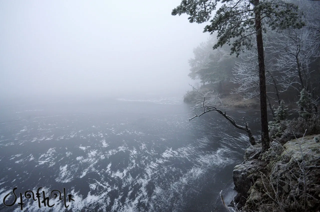 DSC_2922.jpg