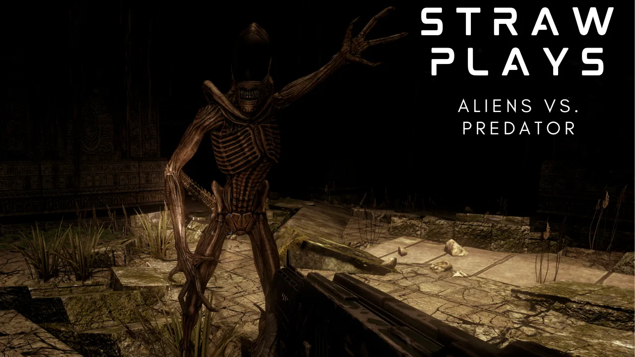 avp1.png