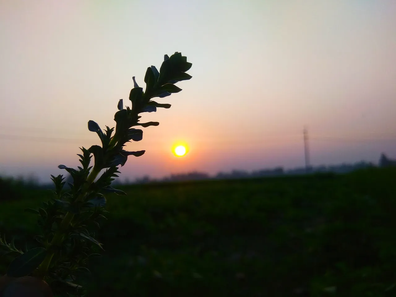 IMG_20211010_175150.jpg