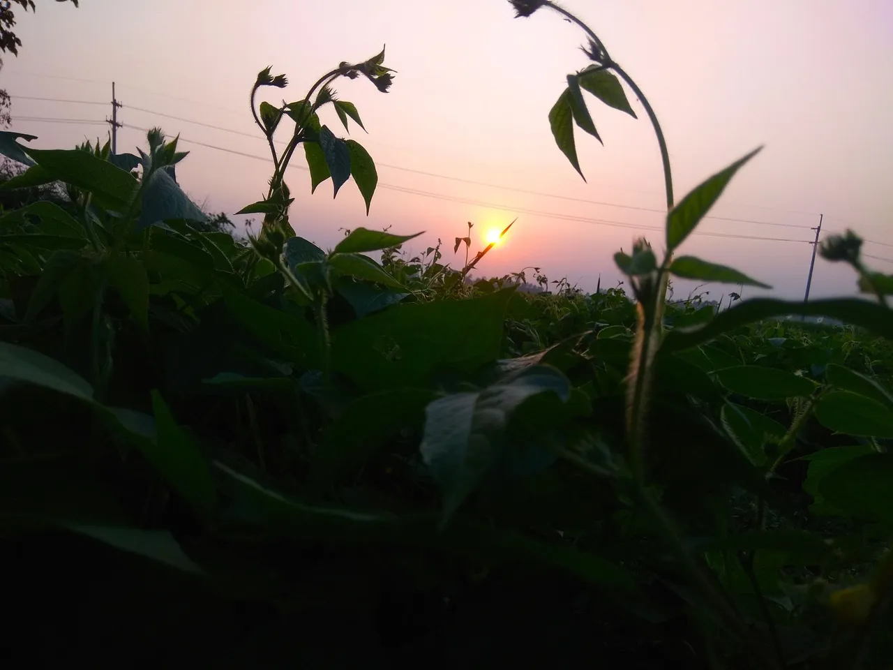 IMG_20211010_175345.jpg