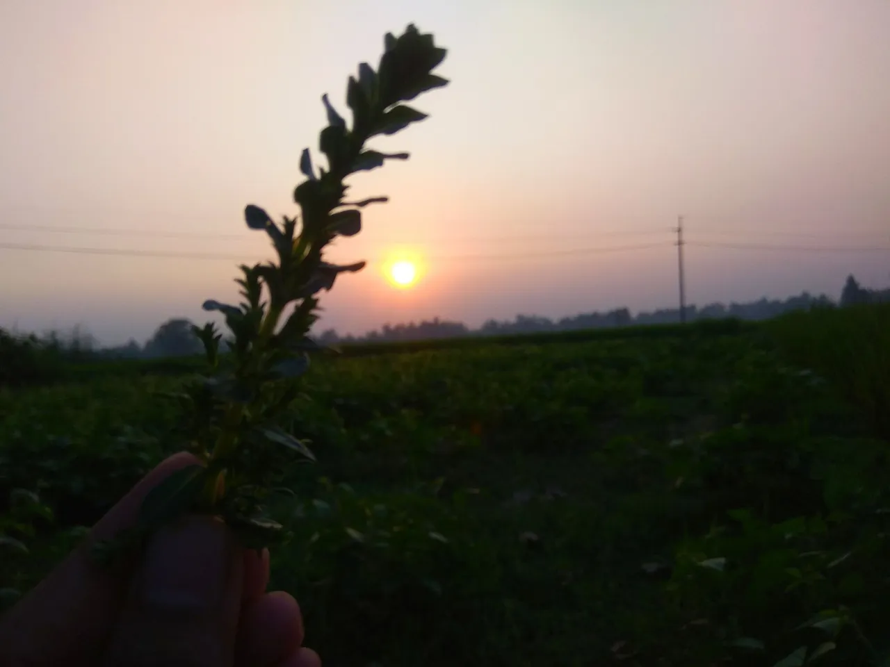 IMG_20211010_175129.jpg