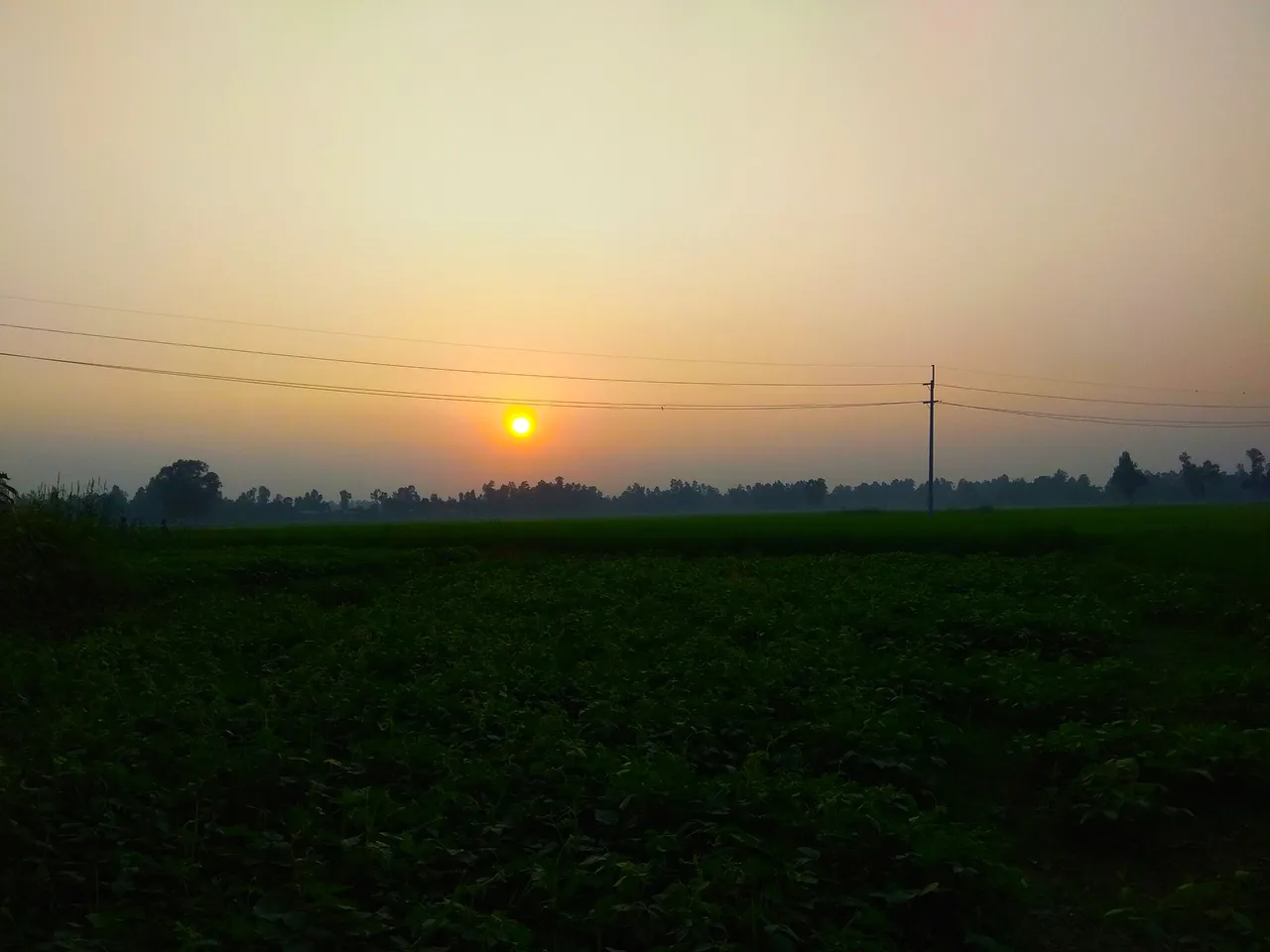 IMG_20211010_175438.jpg