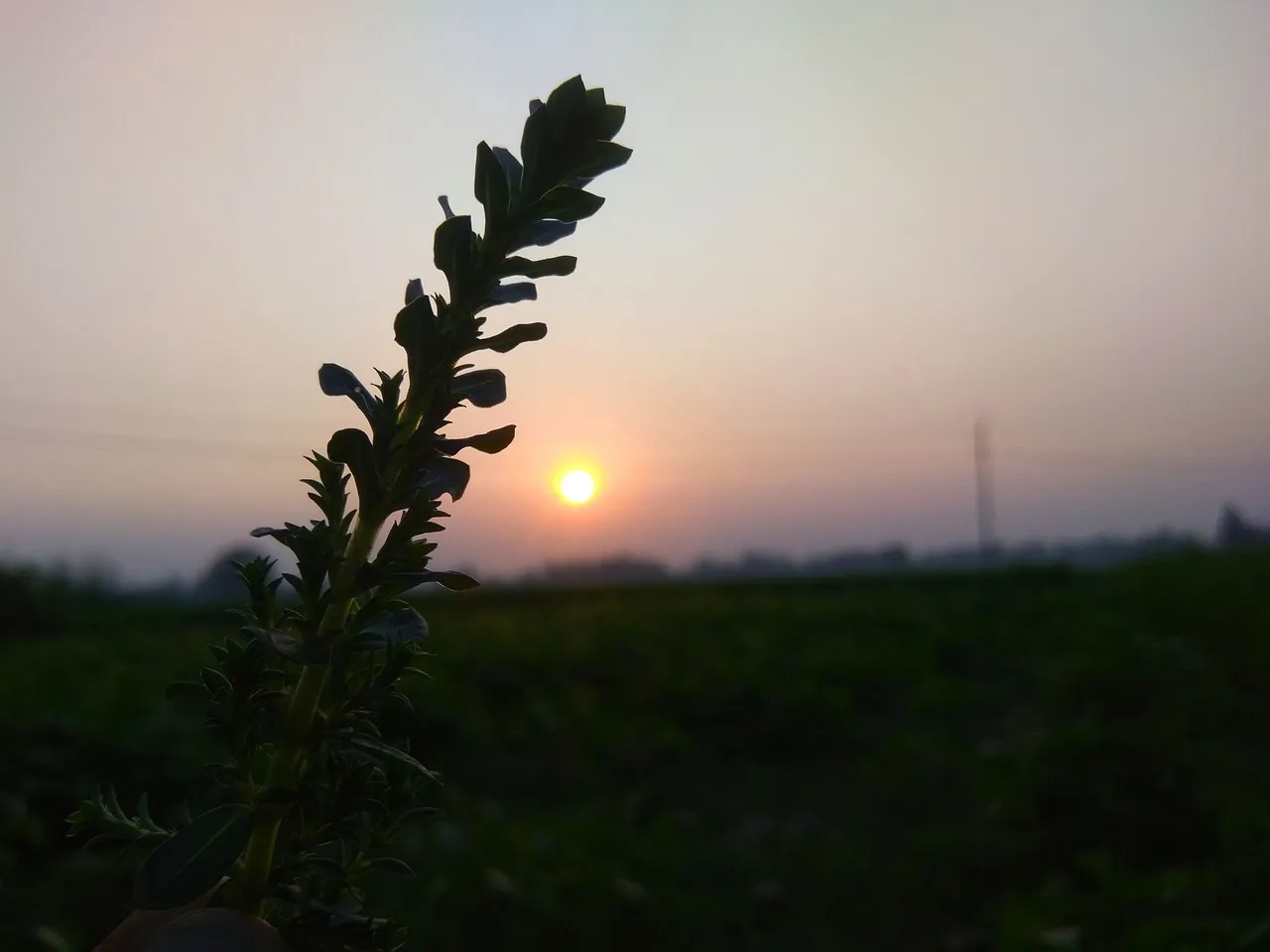IMG_20211010_175138.jpg