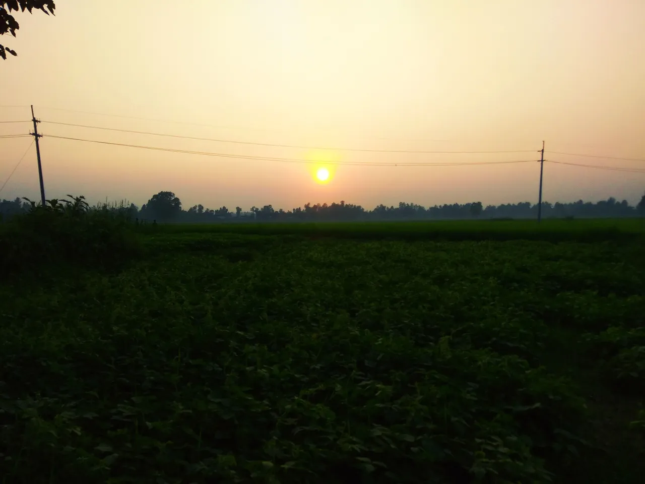 IMG_20211010_175425.jpg