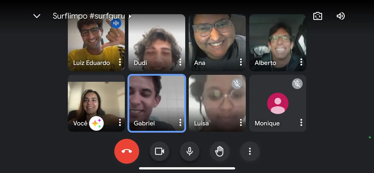 printscreen surflimpo community meeting.jpeg