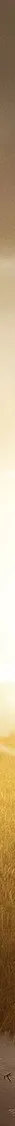 book-2929646_banner lateral.jpg