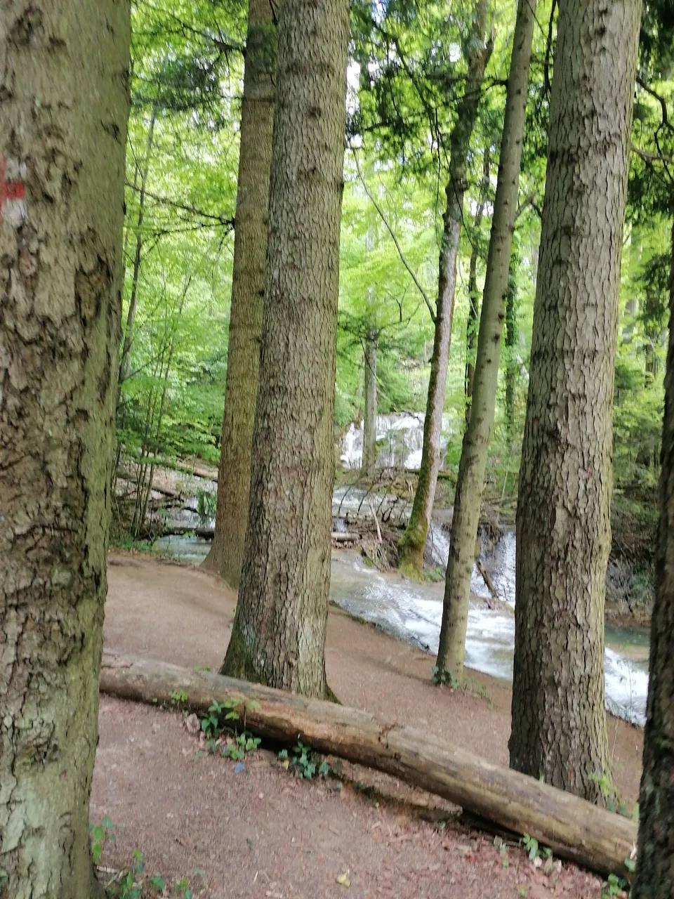 IMG_20230501_144230.jpg