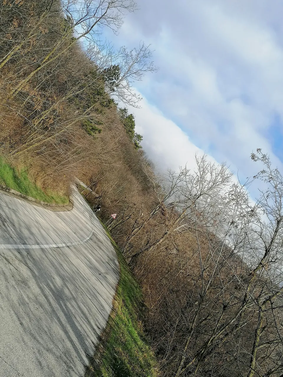IMG_20211218_121848.jpg