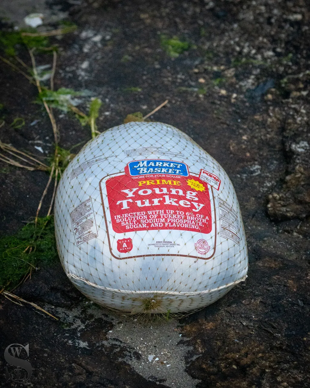 ww Out to Palmers Island-8.jpg