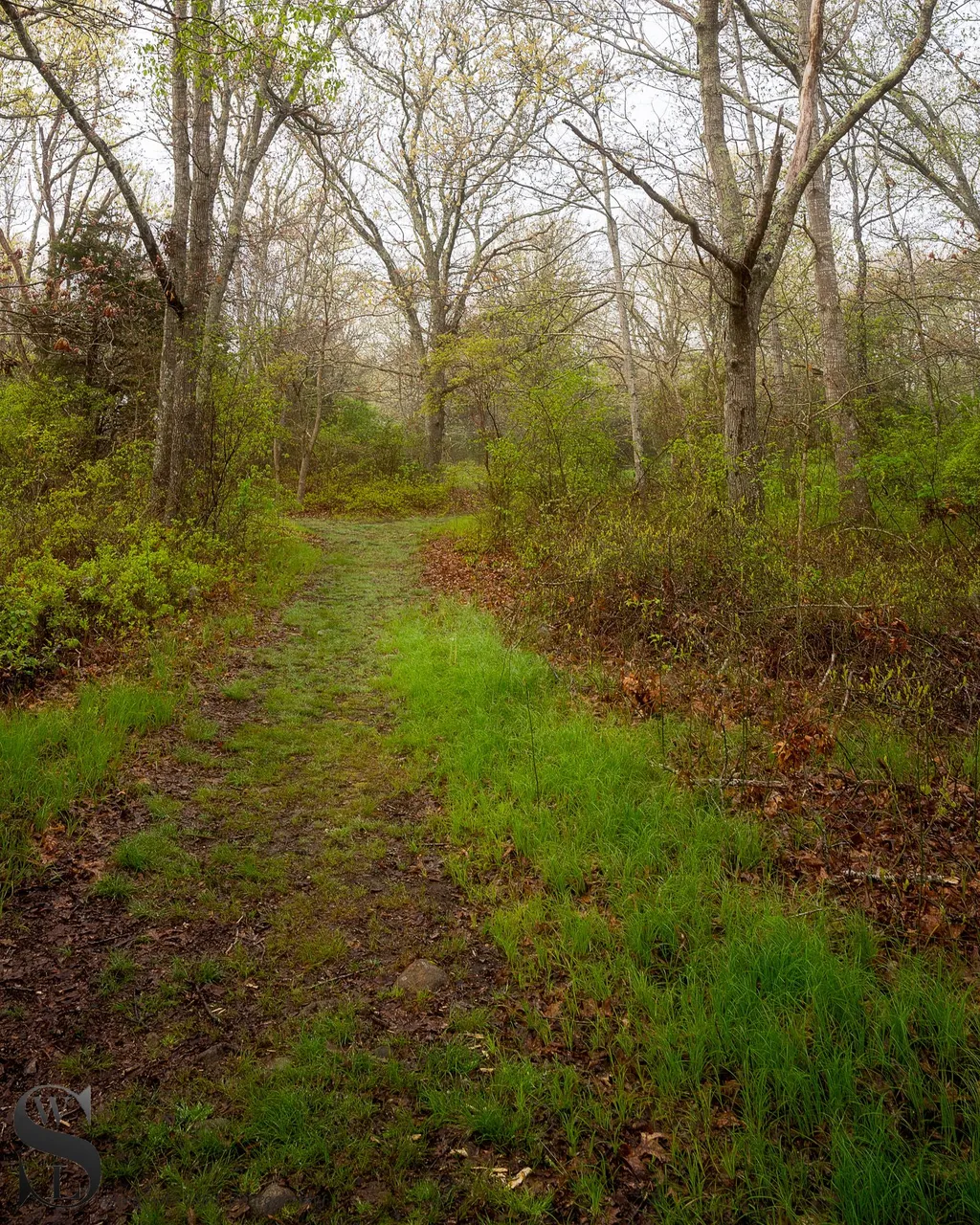 ww Slocum river reserve-4.jpg