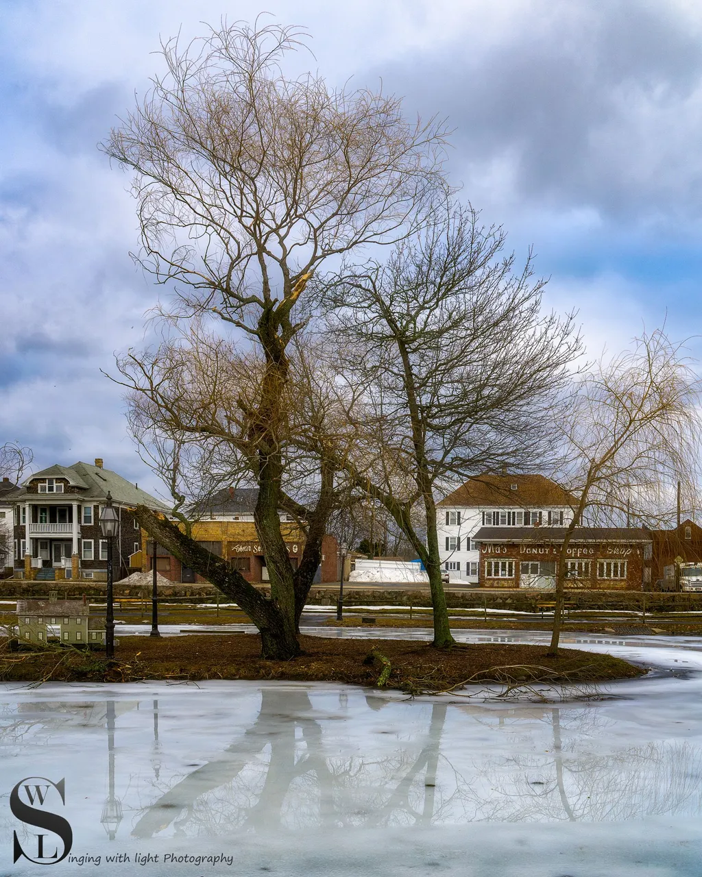 icy pond-2.jpg