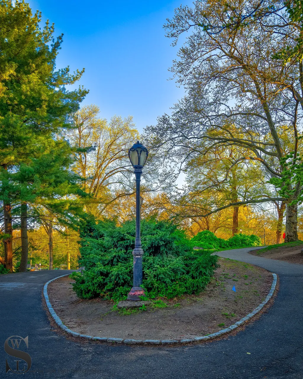 ww Central park-2.jpg