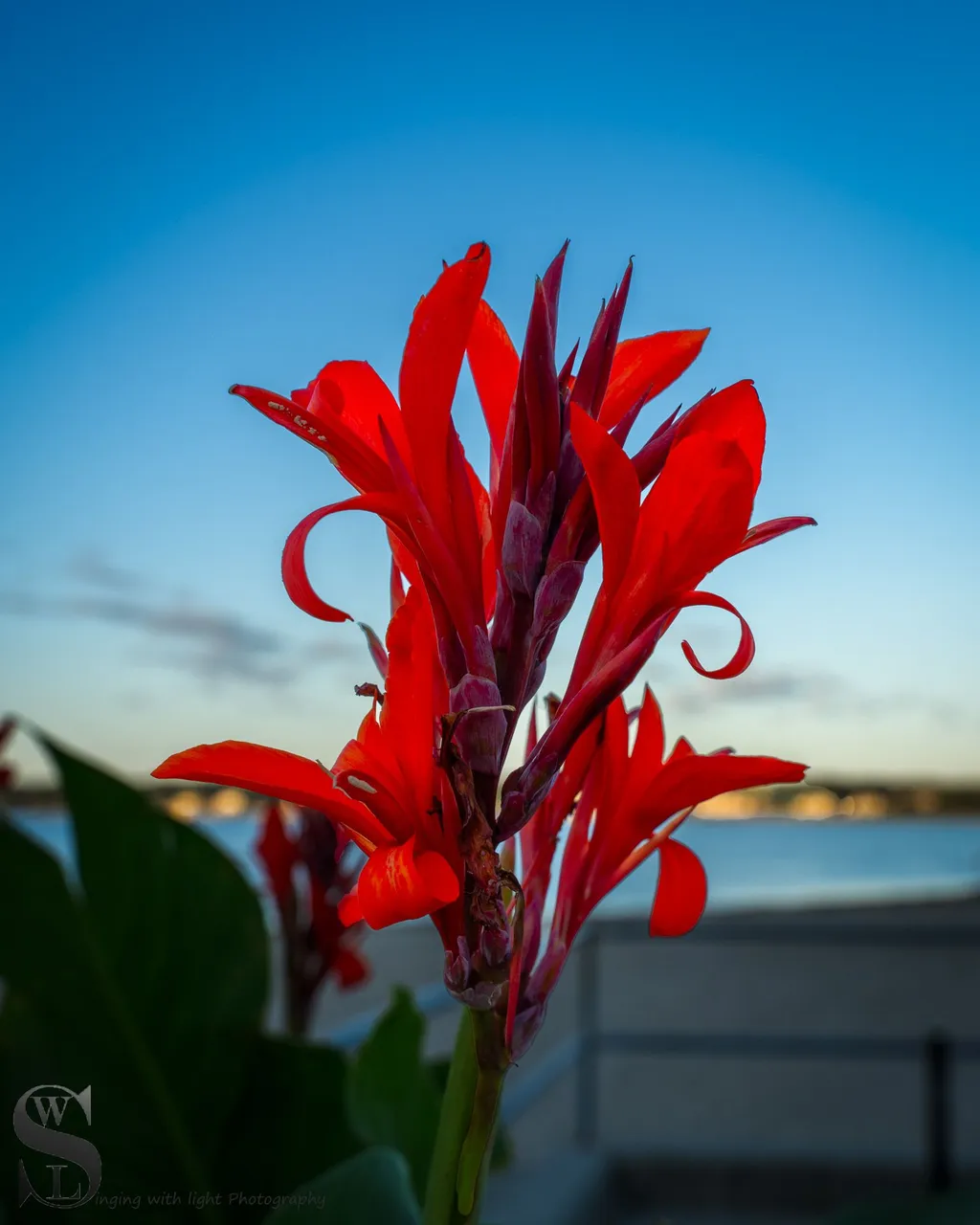 WW around cisco-7.jpg