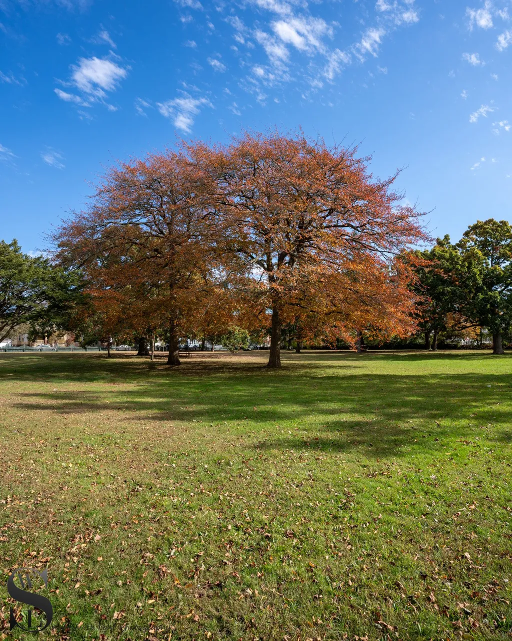 hazelwood park-6.jpg