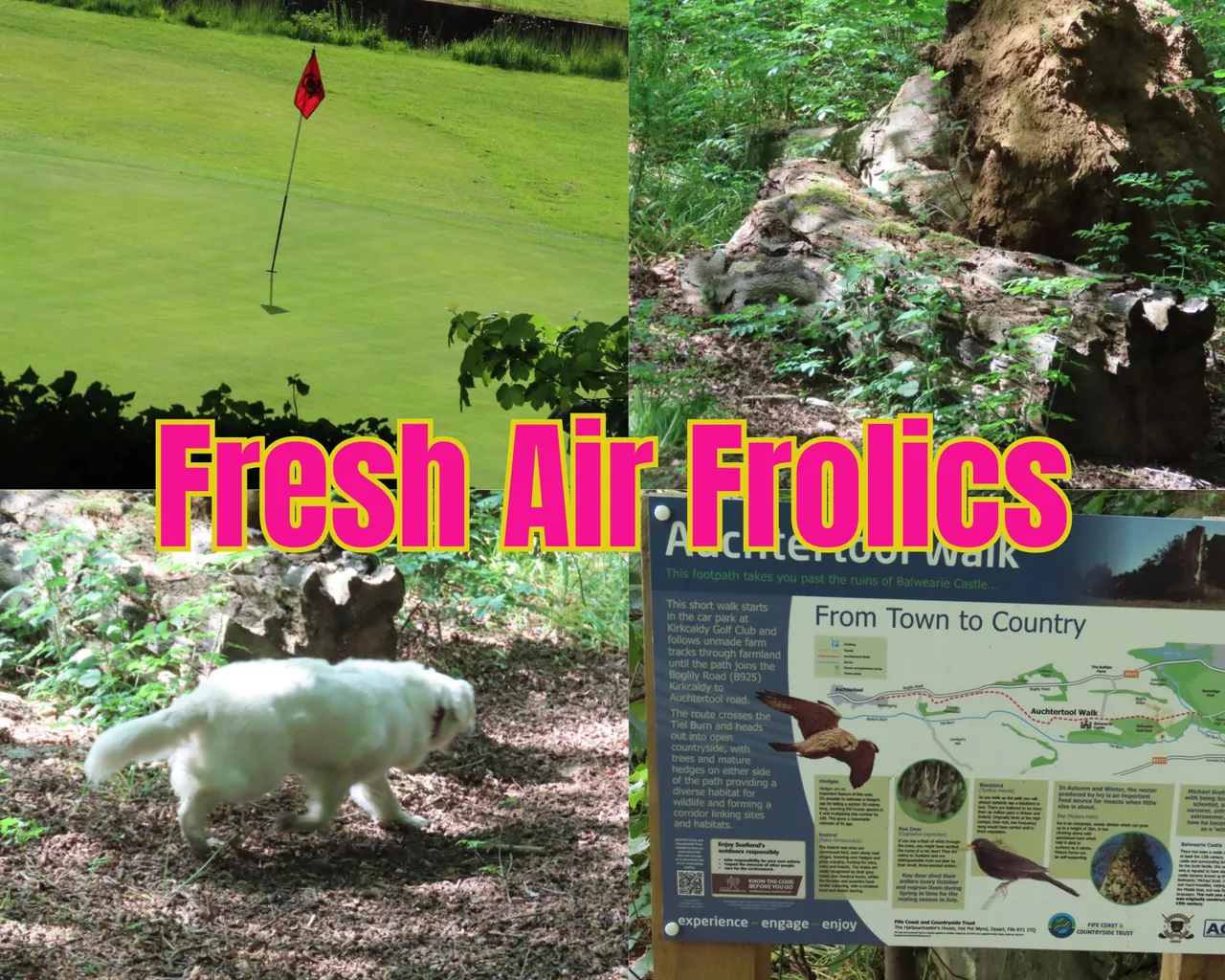 fresh air frolics to raith lake.png