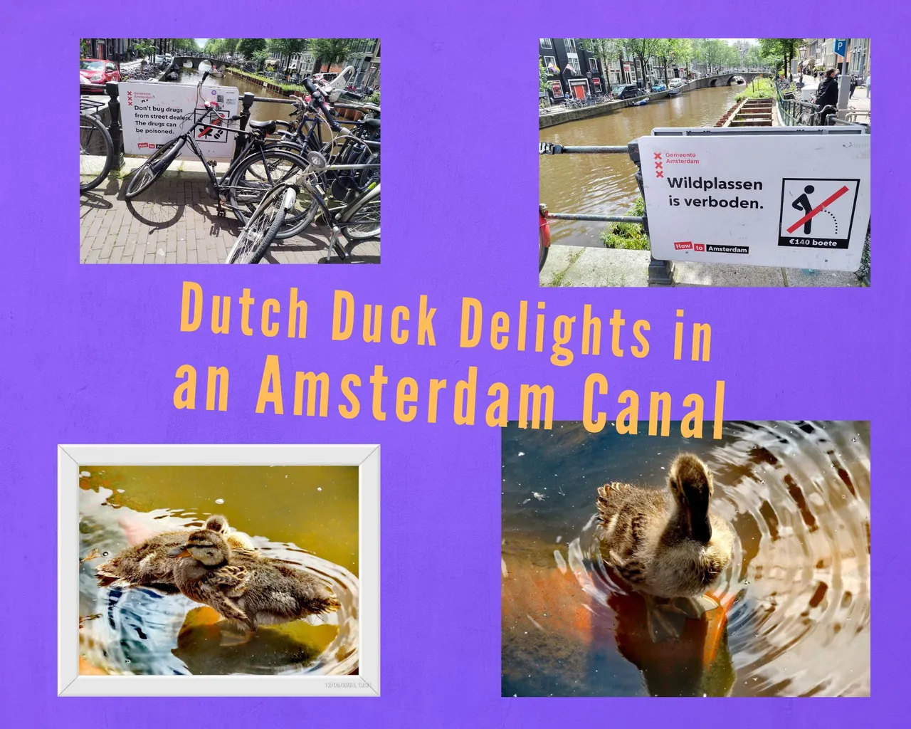 Dutch Duck delights.png