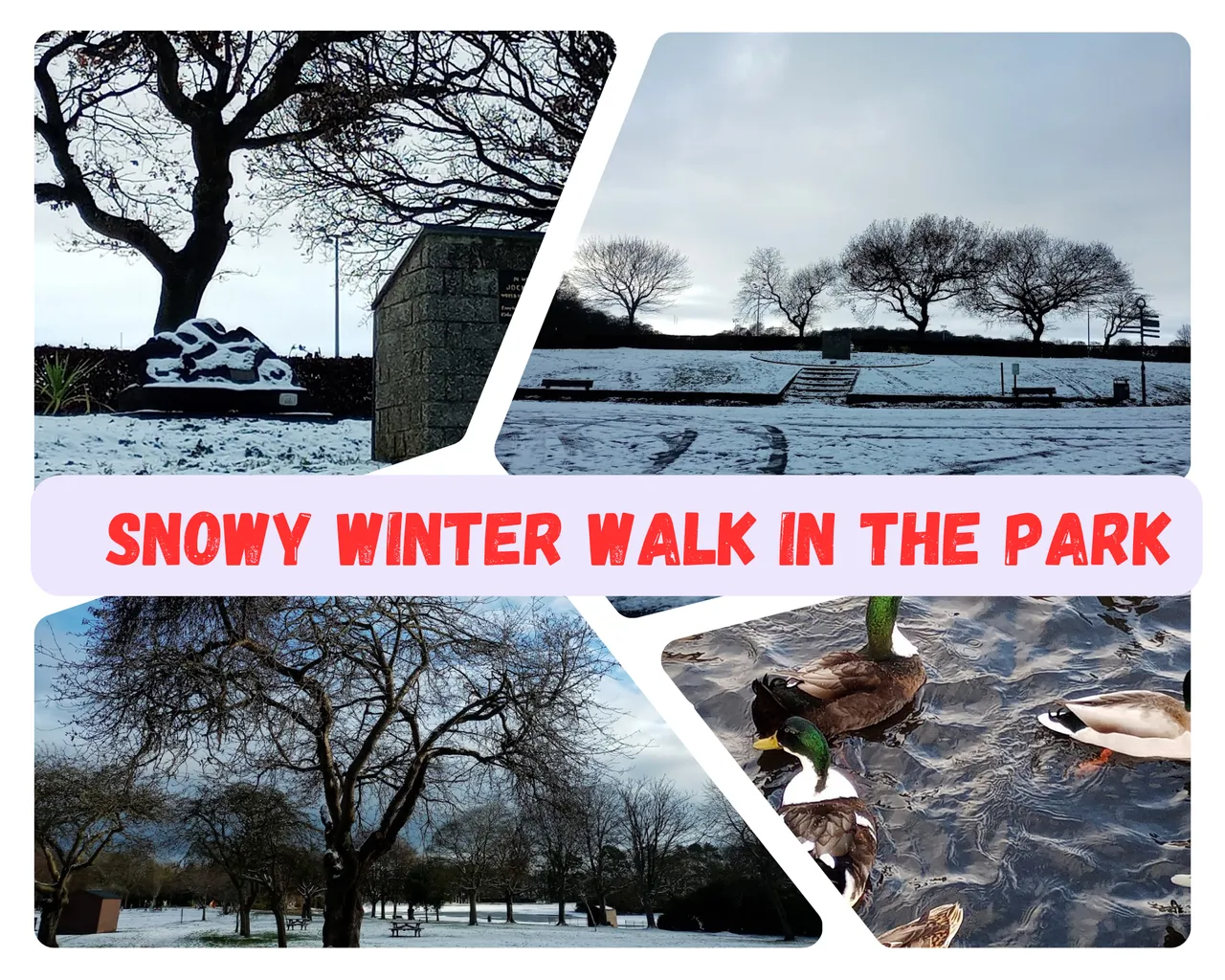 Snowy Winter Walk In the Park.png