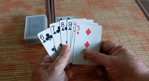 09dab454-5d39-4ac0-8f1b-90d430956c15.gif