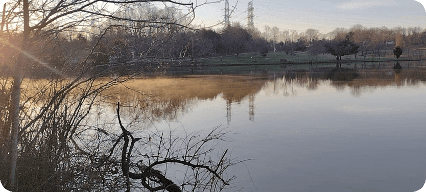 1000016325.gif