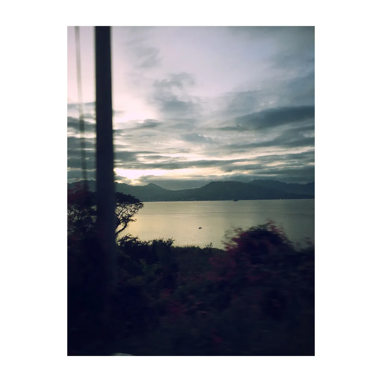 IMG-5931.JPG