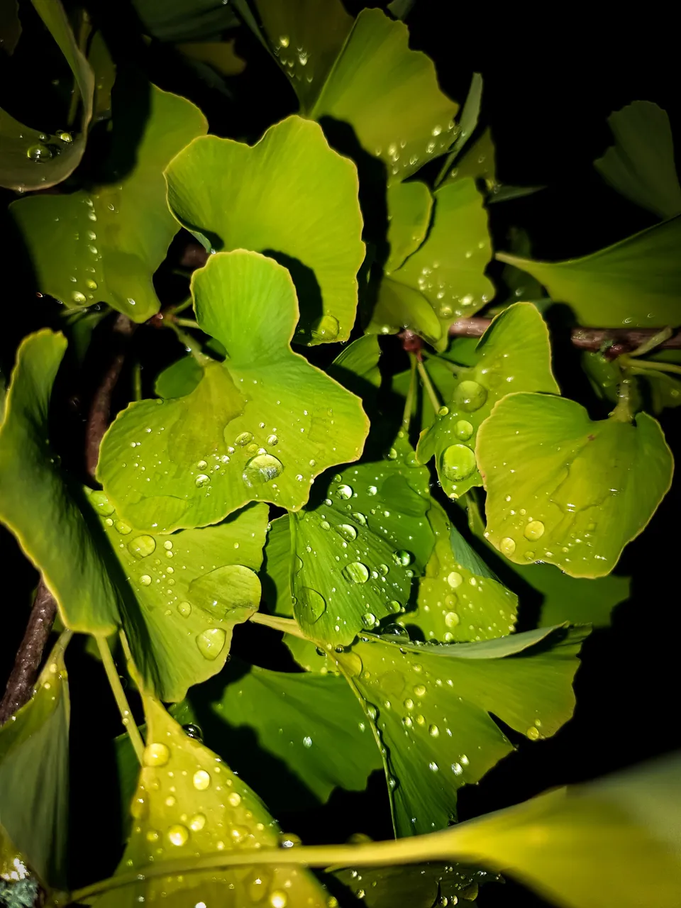 20220708_234143.jpg