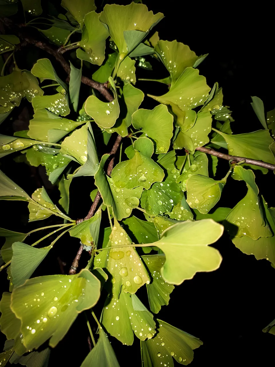 20220708_234128.jpg