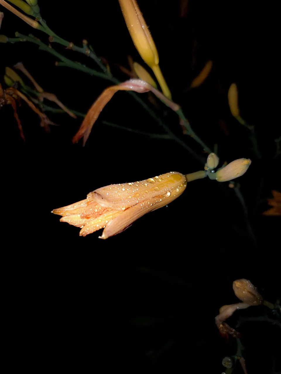 20220708_235015.jpg