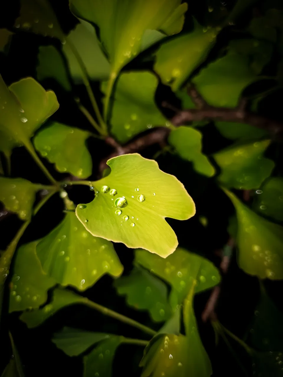 20220708_233938.jpg