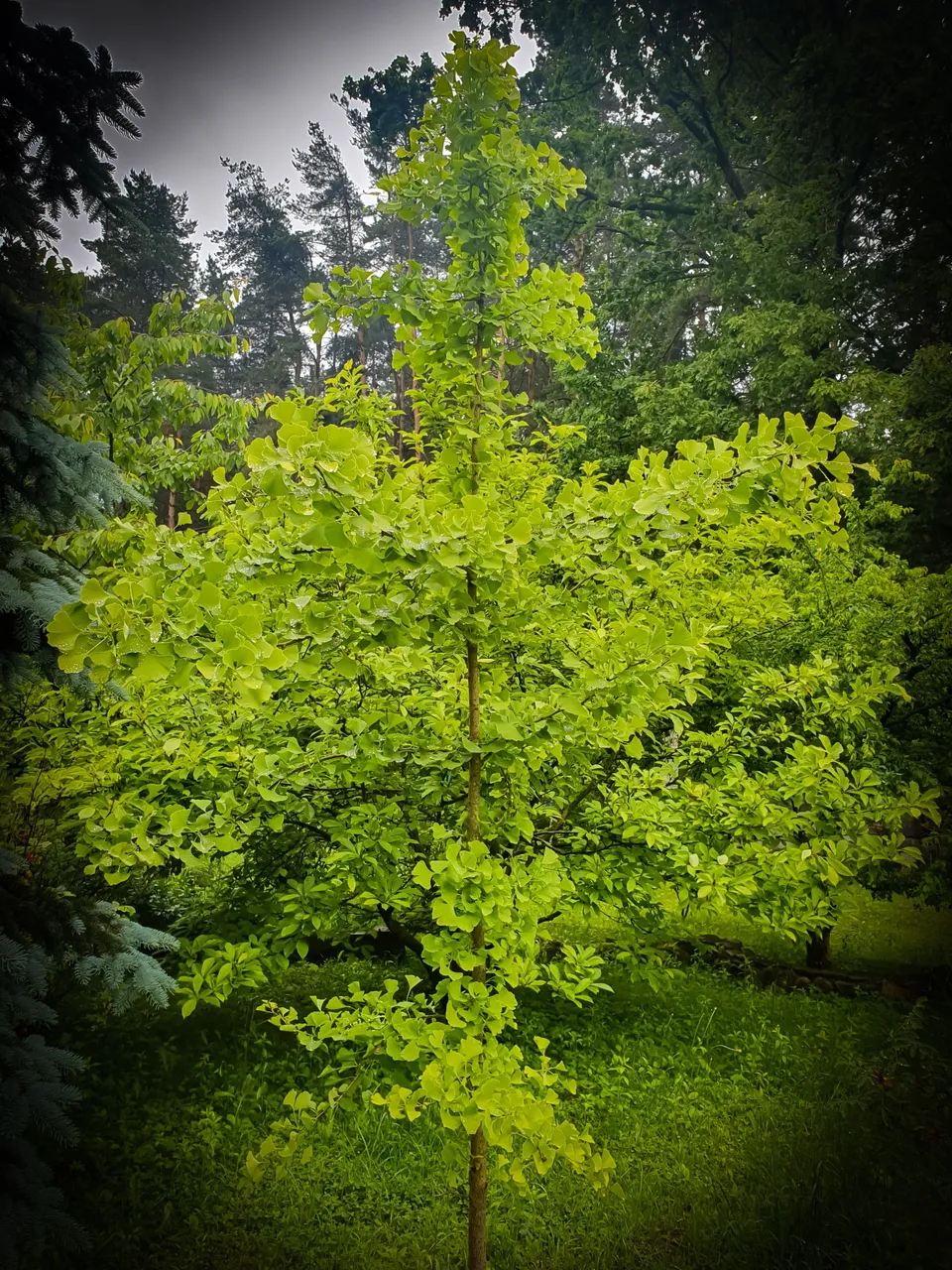 20230618_090239.jpg