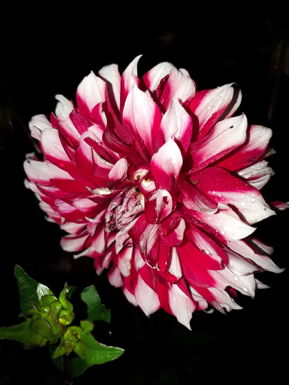 20220708_233105.jpg
