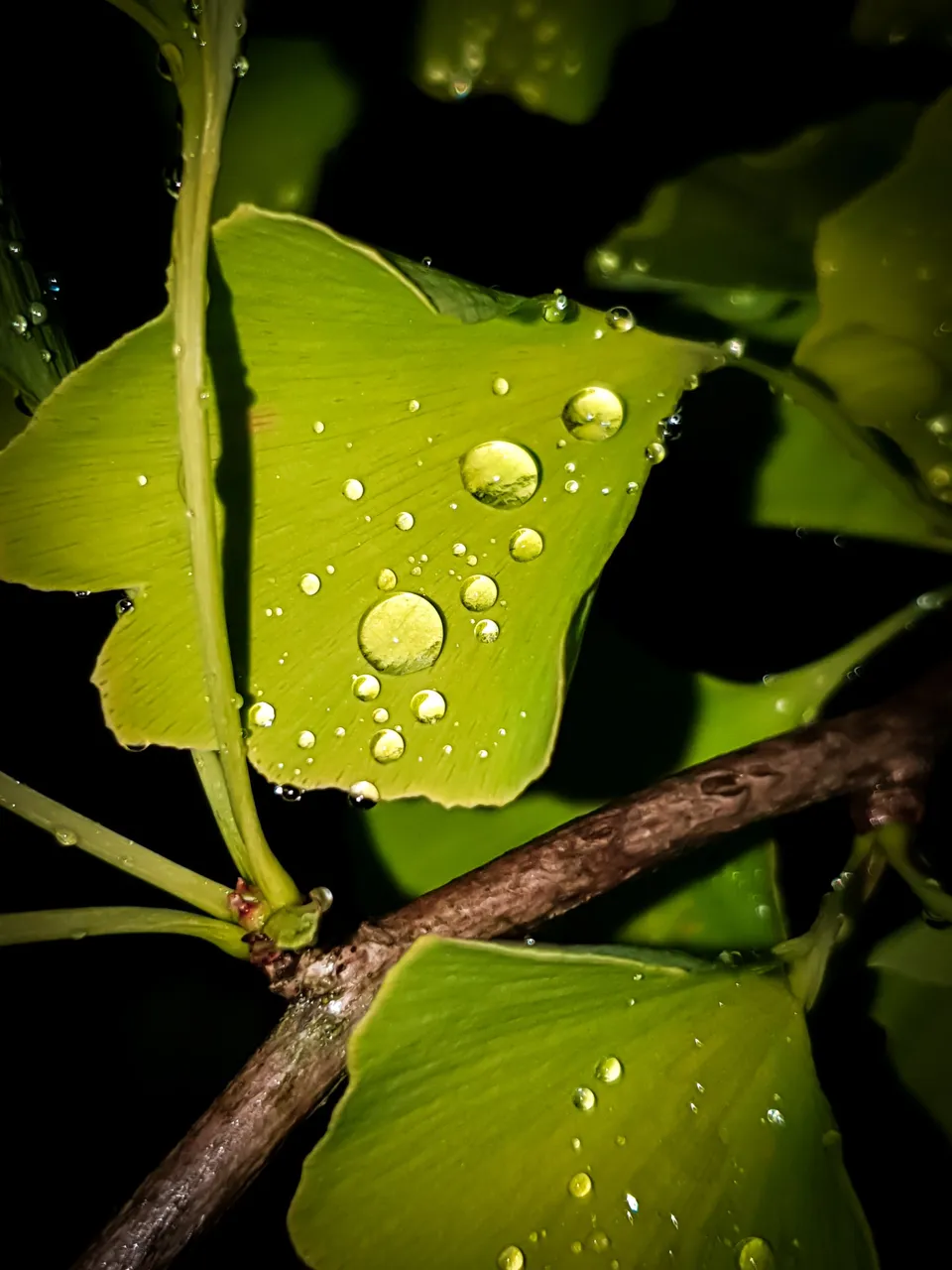 20220708_233836.jpg