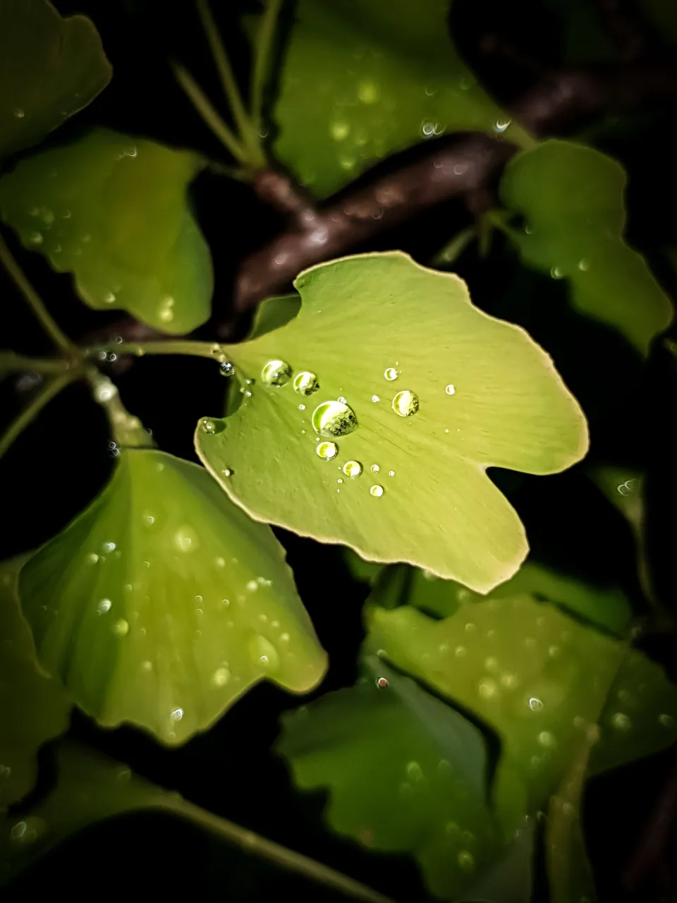 20220708_233918.jpg